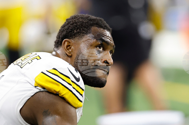 Steelers Metcalf Fan Football