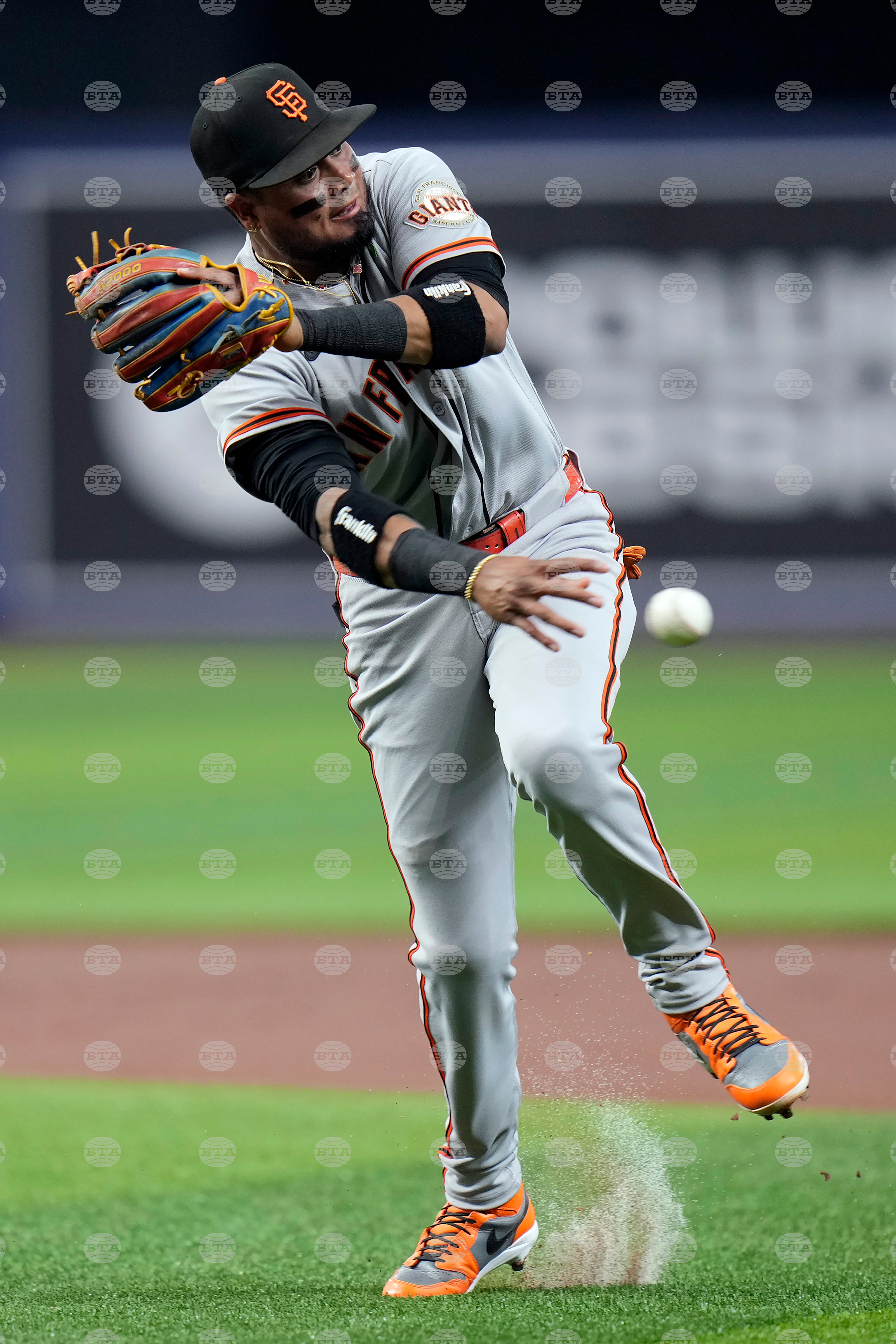Giants Rays Baseball