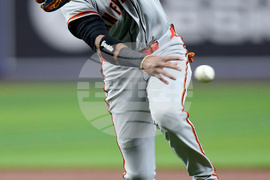 Giants Rays Baseball