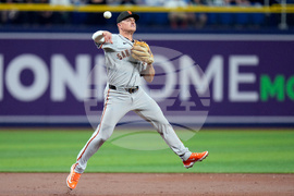 Giants Rays Baseball
