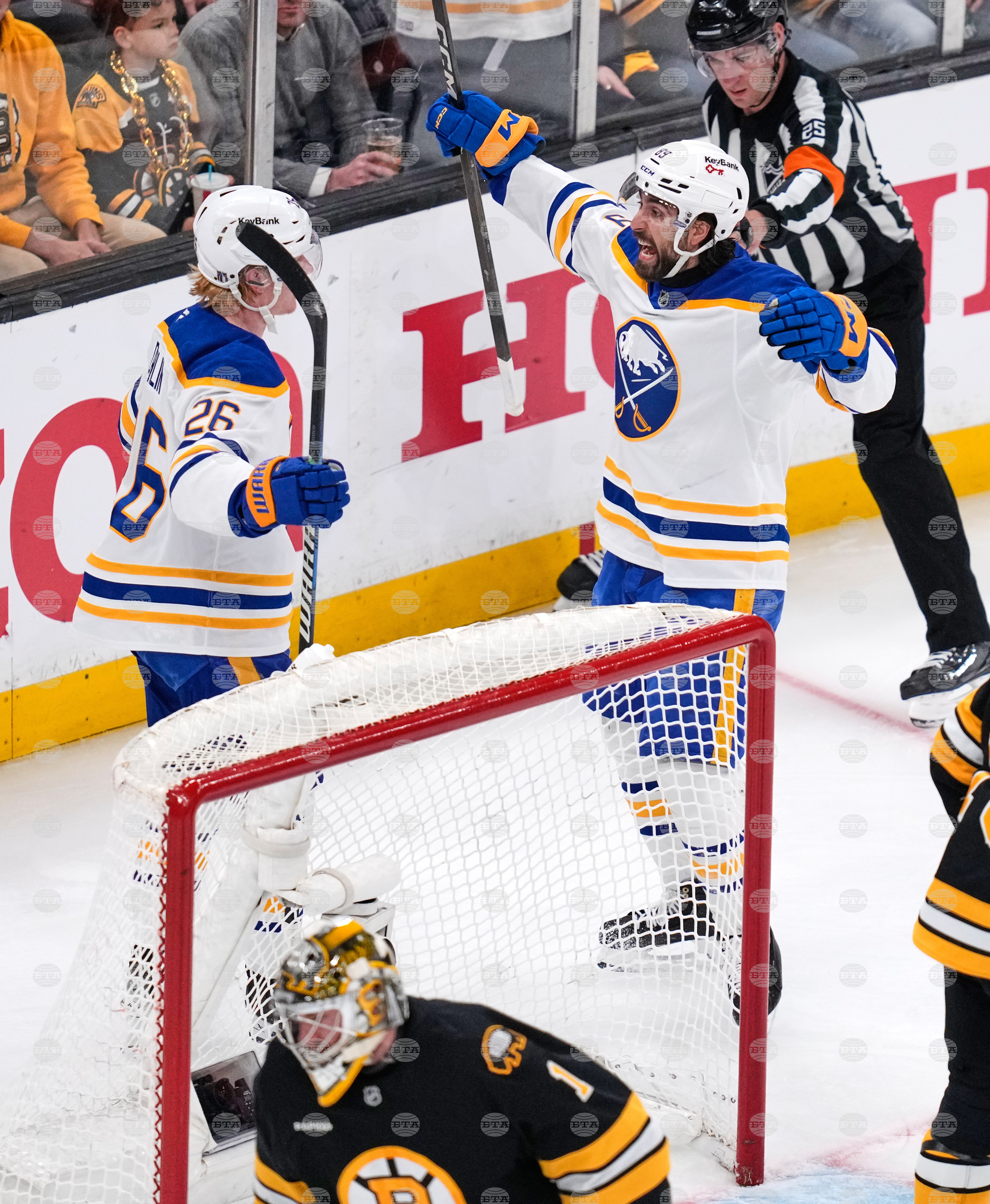 Sabres Bruins Hockey
