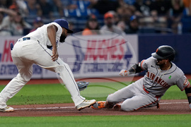 Giants Rays Baseball