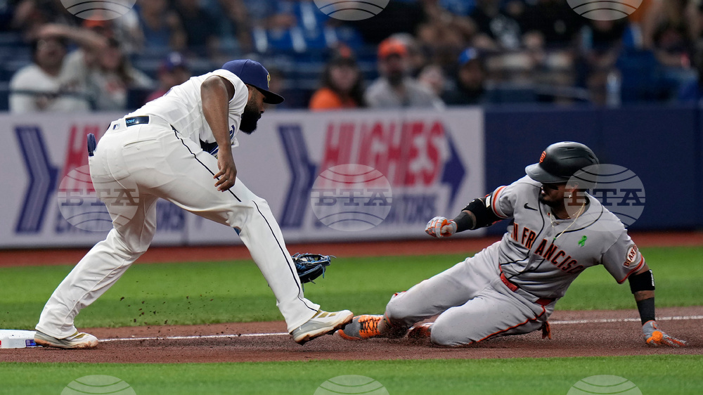 Giants Rays Baseball