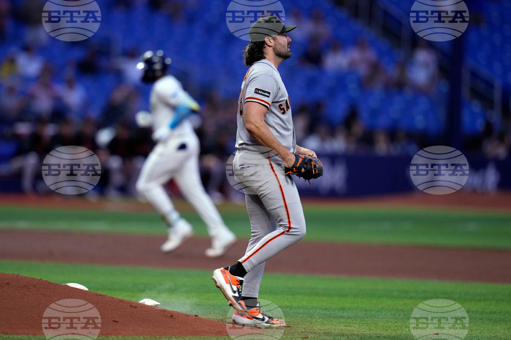 Giants Rays Baseball