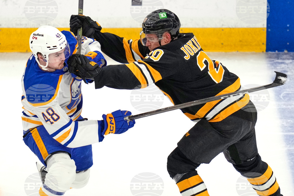 Sabres Bruins Hockey