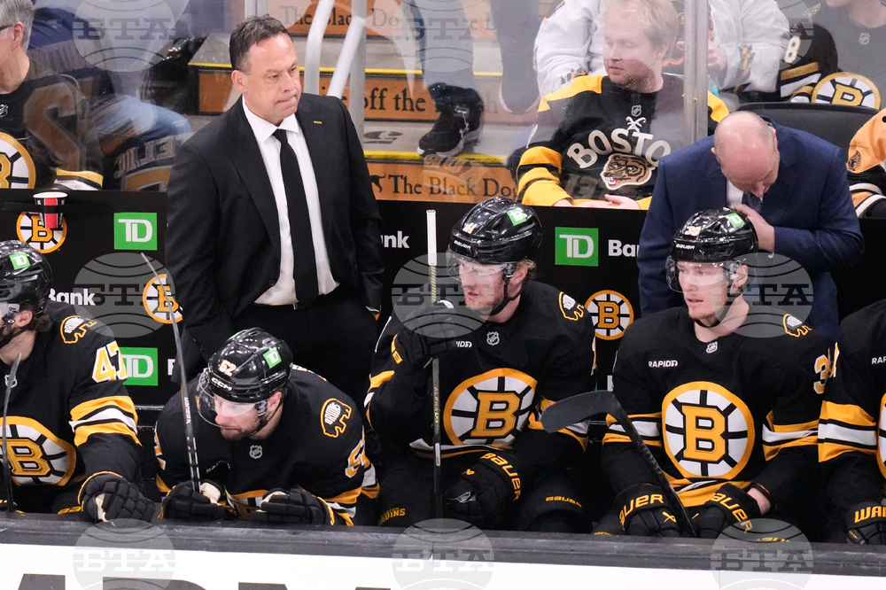 Sabres Bruins Hockey