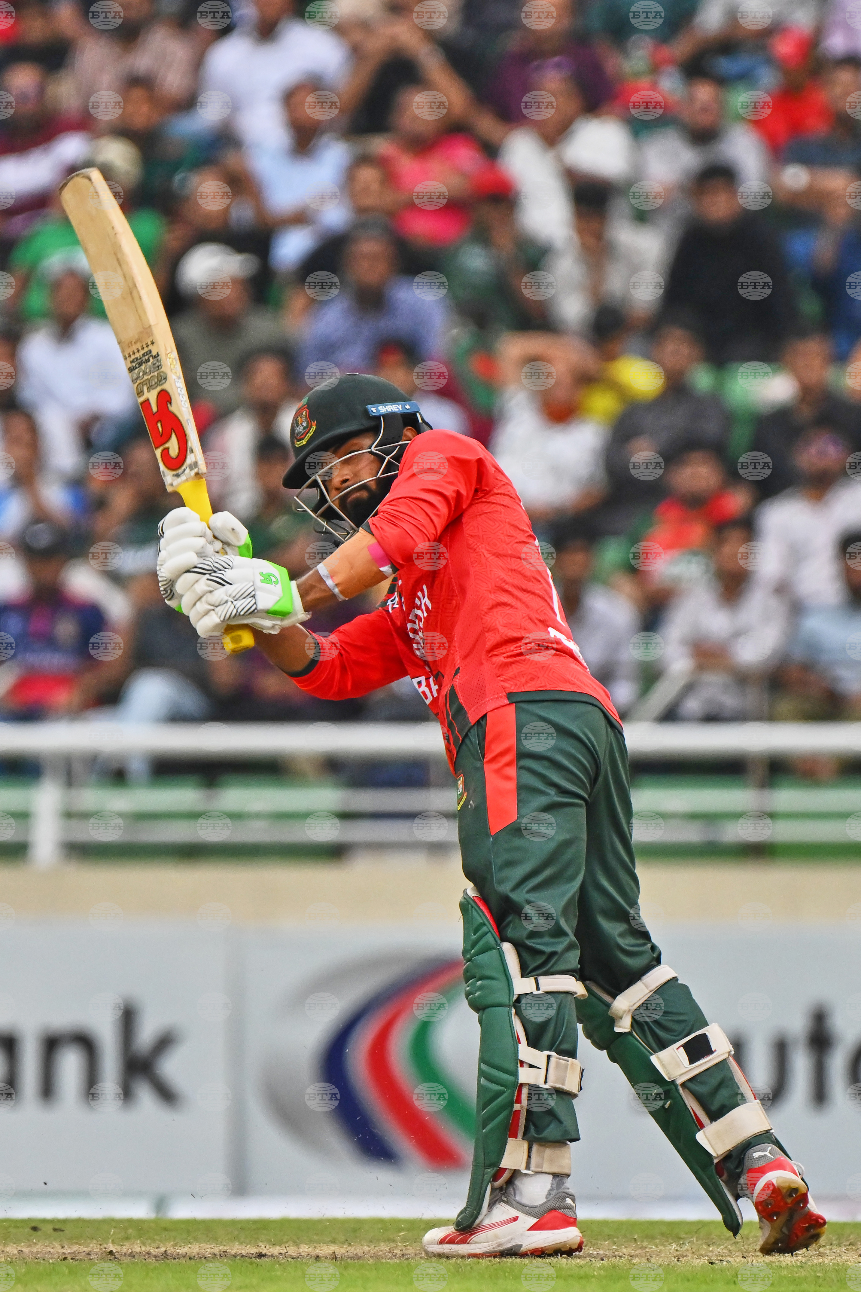 Bangladesh New Zealand Cricket