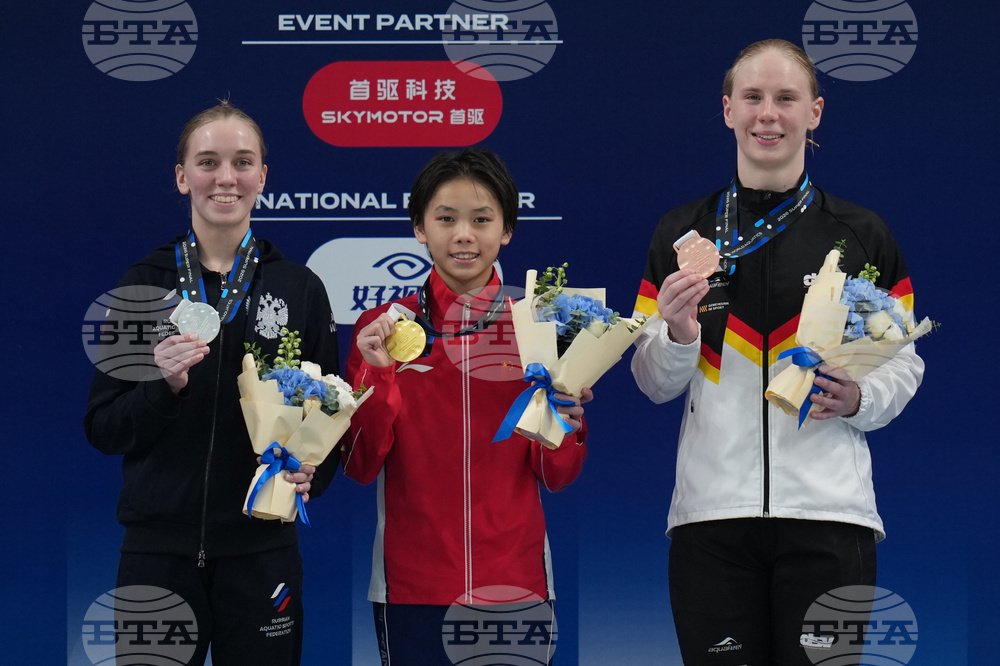 China Diving World Cup
