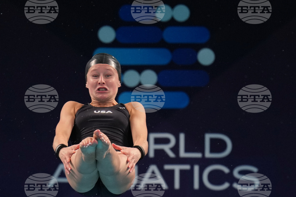 China Diving World Cup