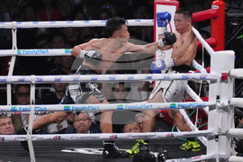 Japan Takei Wang Boxing