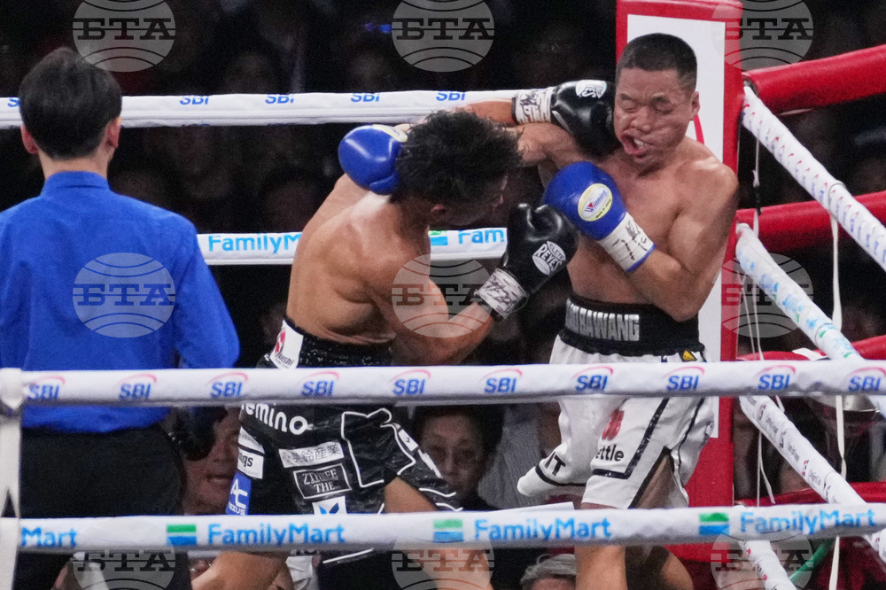 Japan Takei Wang Boxing