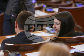 Парламент - заседание