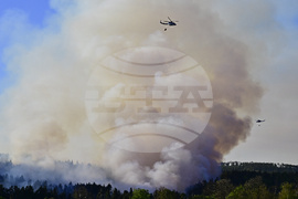 Czech Republic Wildfires
