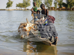 Mali Jihadi Cattle Raids