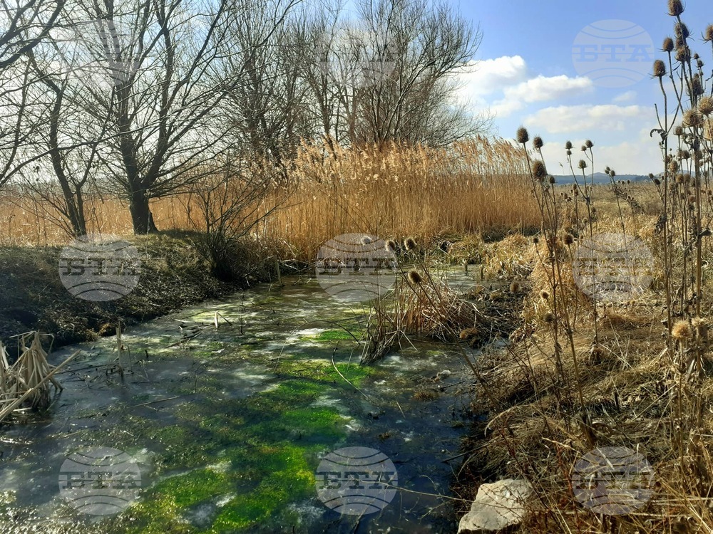Влажните зони са дом на 40% от видовете в света, посочва Иван Христов от WWF