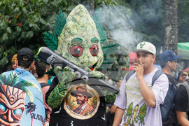 Colombia Marijuana
