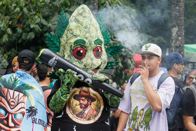 Colombia Marijuana
