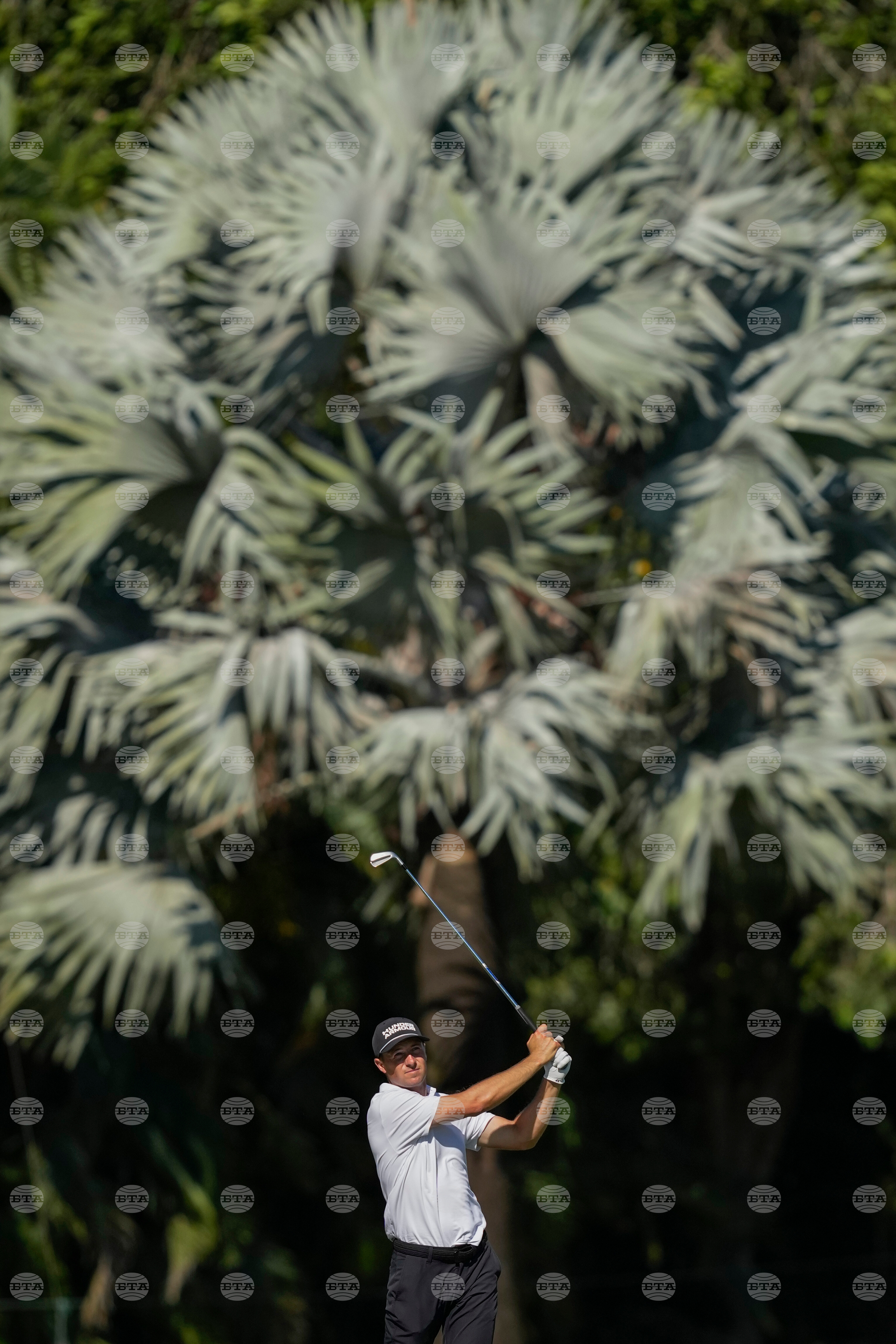 Cadillac Championship Golf