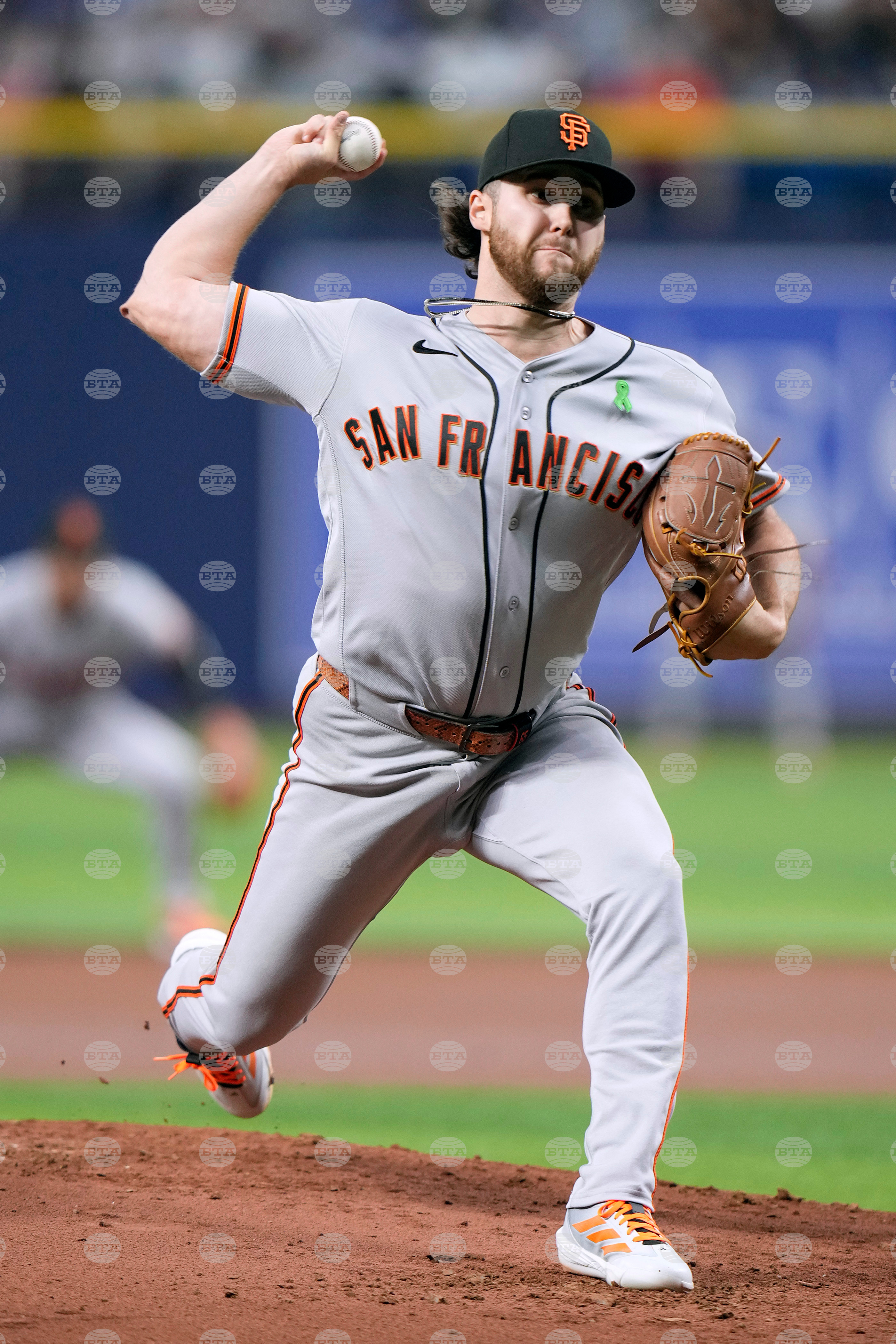 Giants Rays Baseball