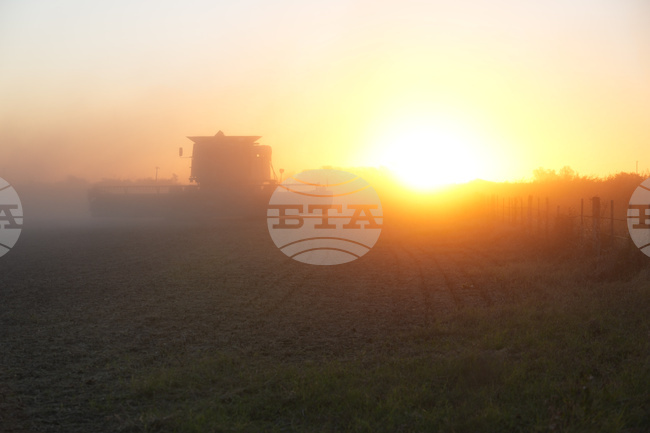 Argentina Farm