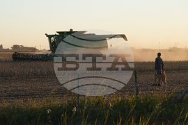 Argentina Farm