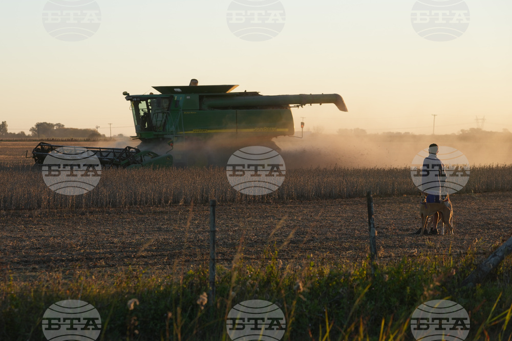 Argentina Farm