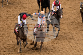 Kentucky Derby Horse Racing