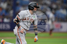 Giants Rays Baseball