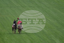 Kentucky Derby Horse Racing