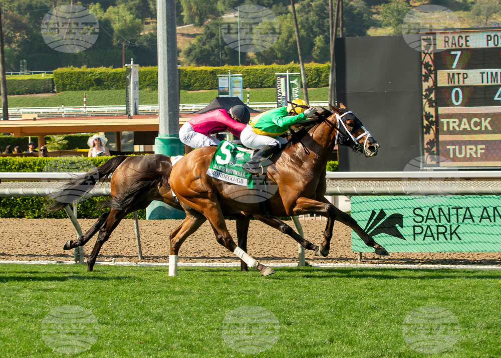 Santa Anita Horse Racing