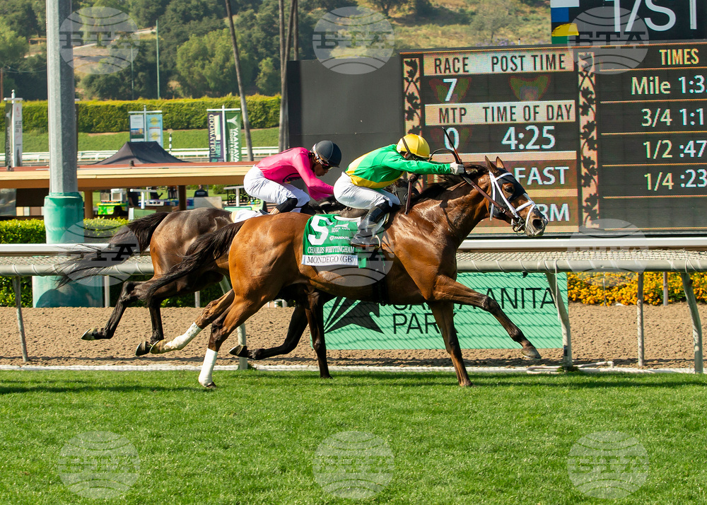 Santa Anita Horse Racing