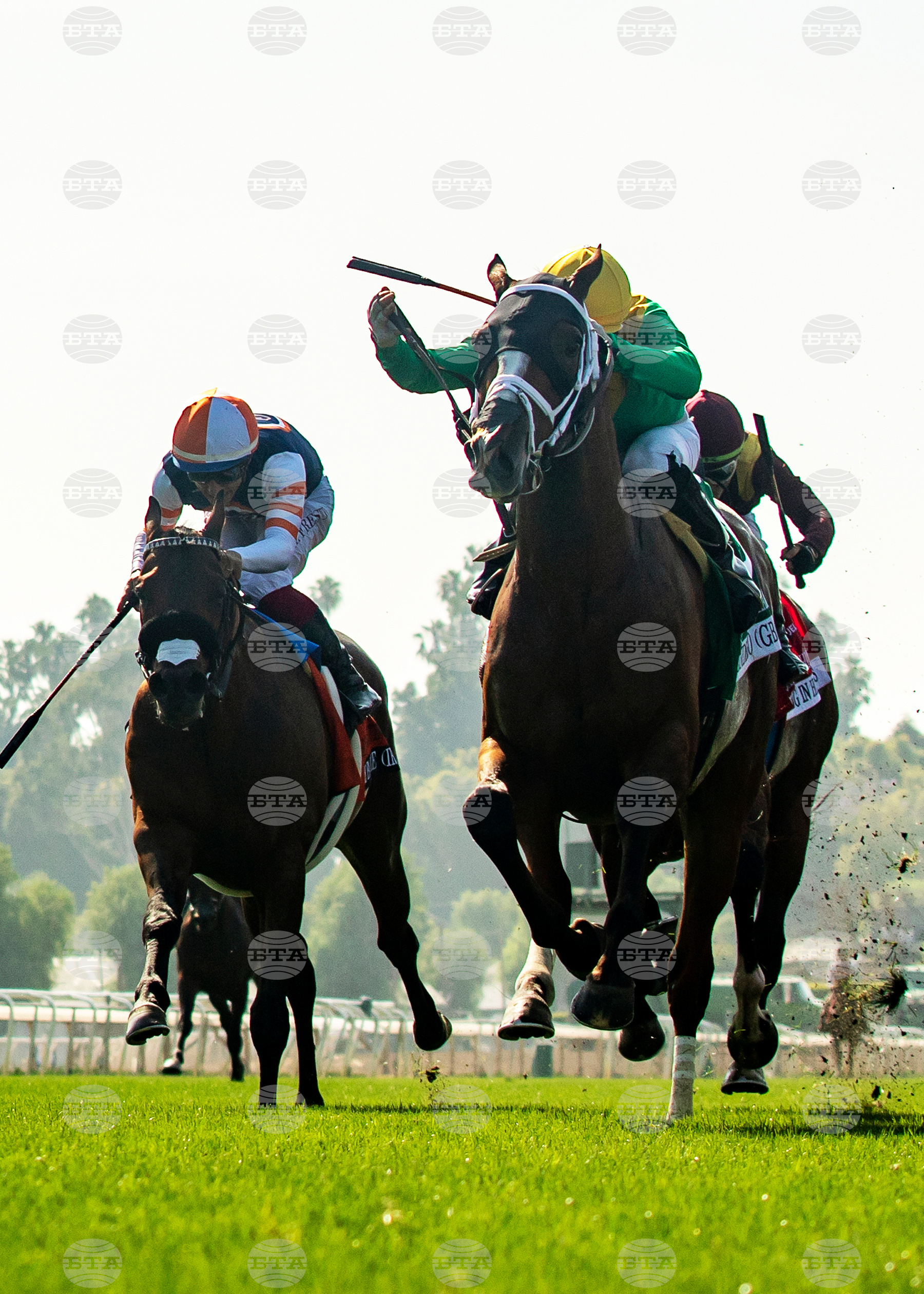 Santa Anita Horse Racing