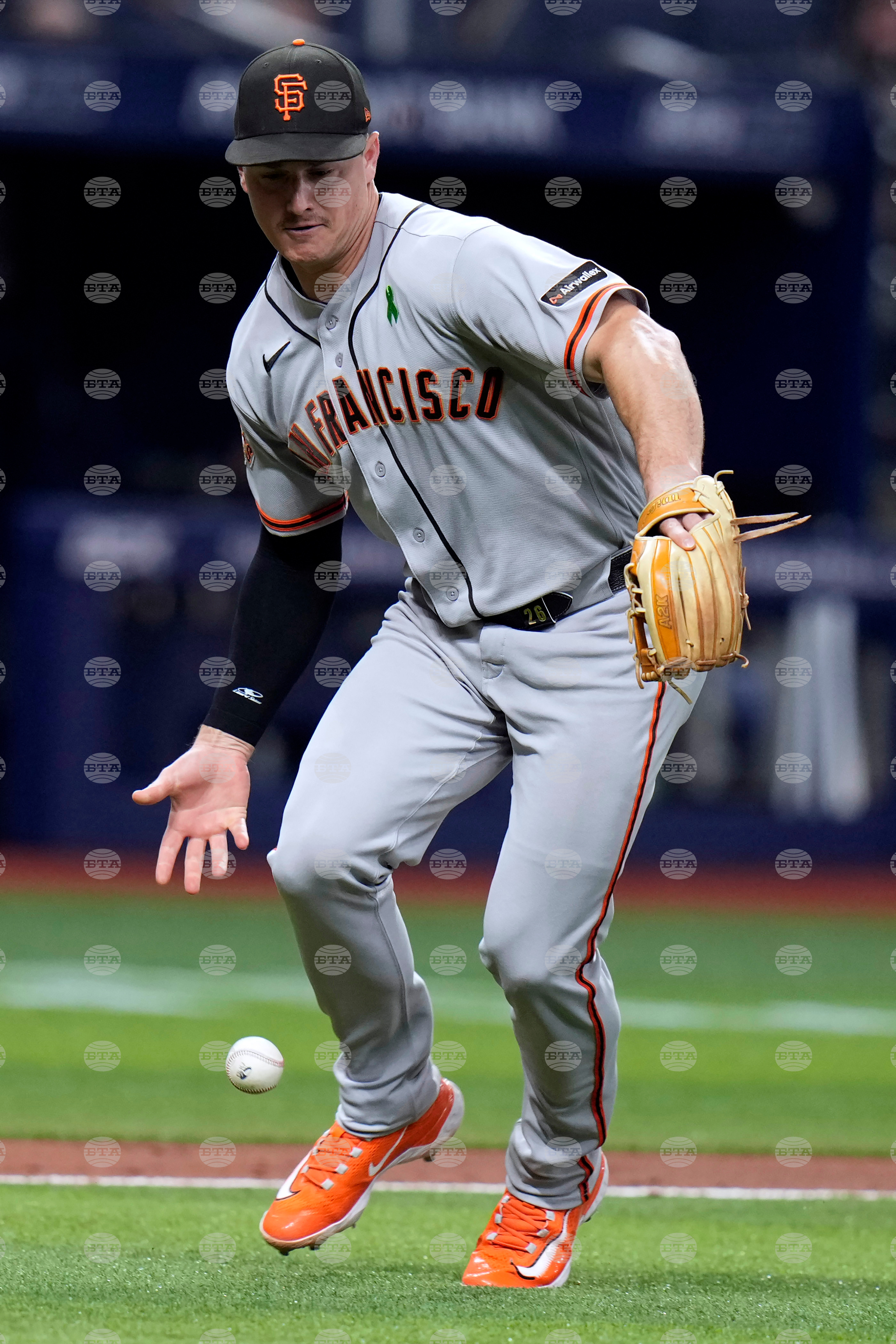 Giants Rays Baseball