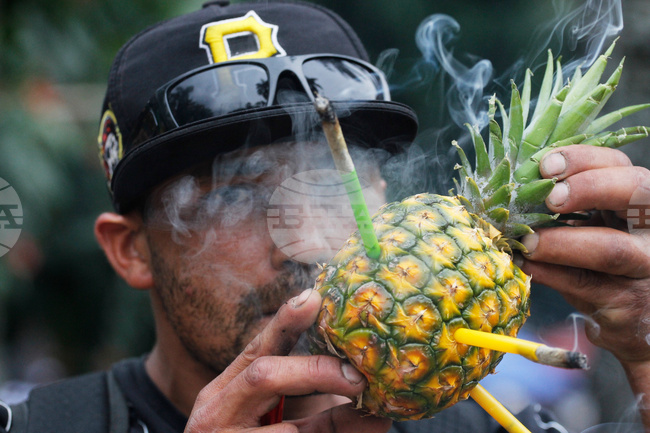 APTOPIX Colombia Marijuana