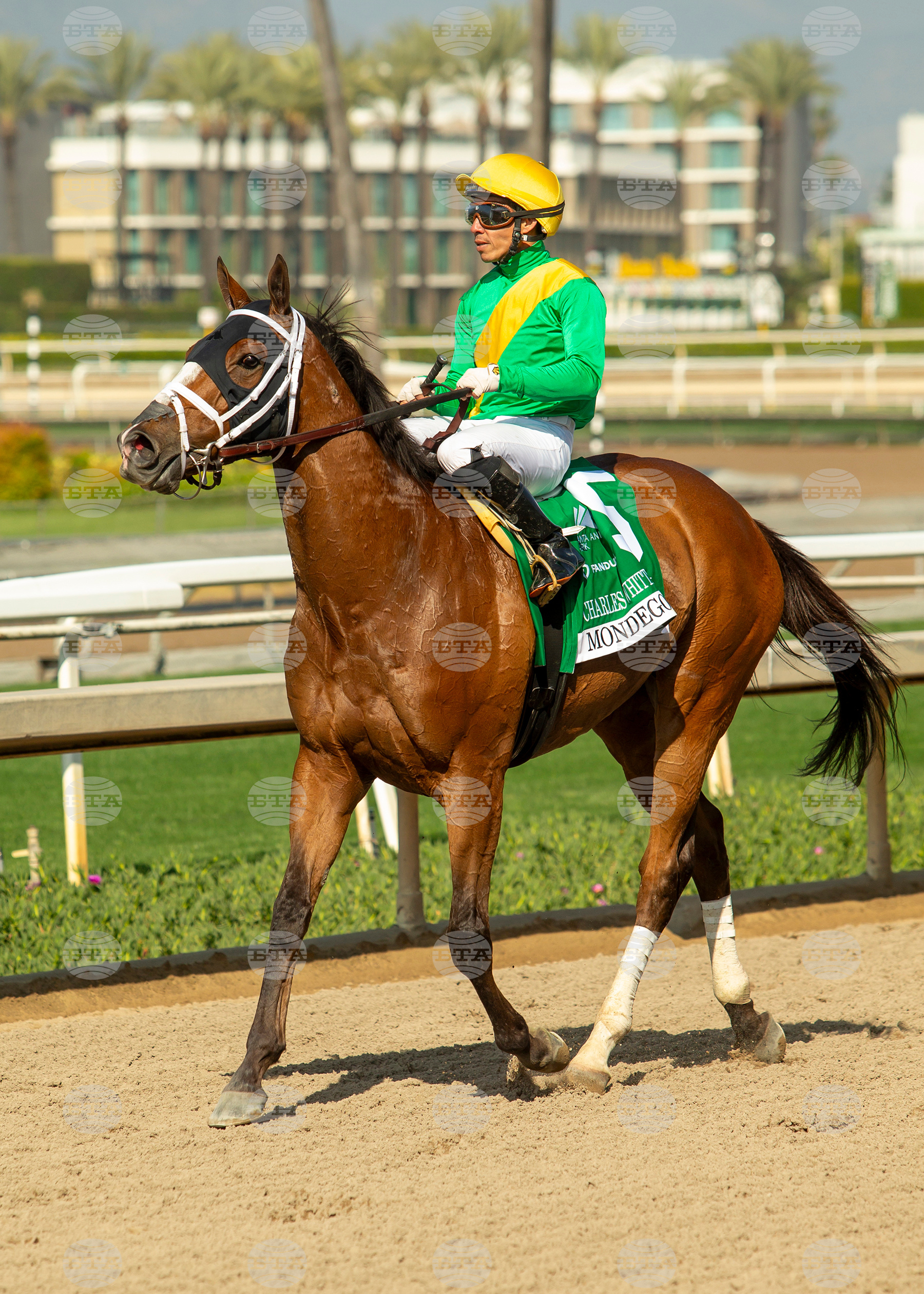 Santa Anita Horse Racing