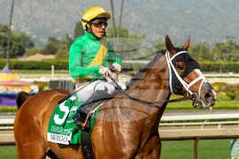 Santa Anita Horse Racing