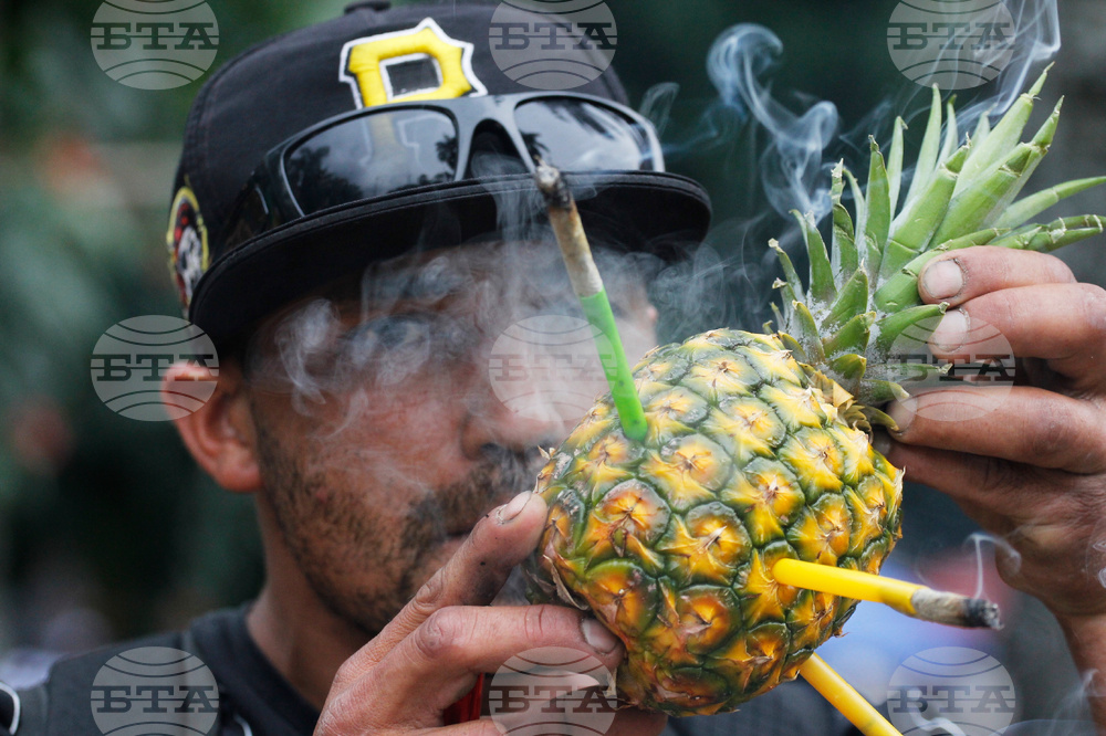 APTOPIX Colombia Marijuana