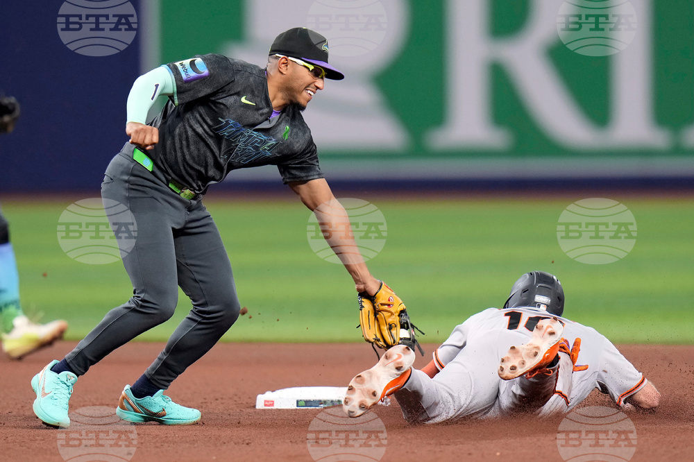 Giants Rays Baseball