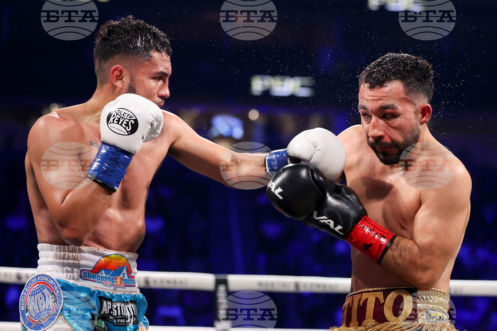 Chavez Sanchez Boxing