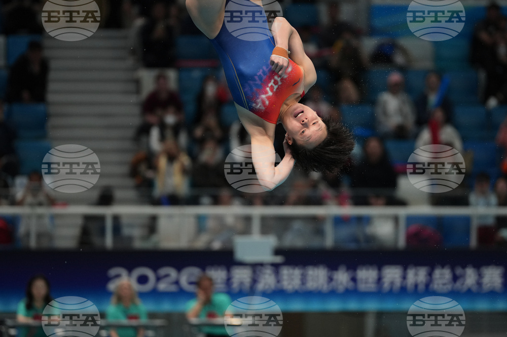 China Diving World Cup