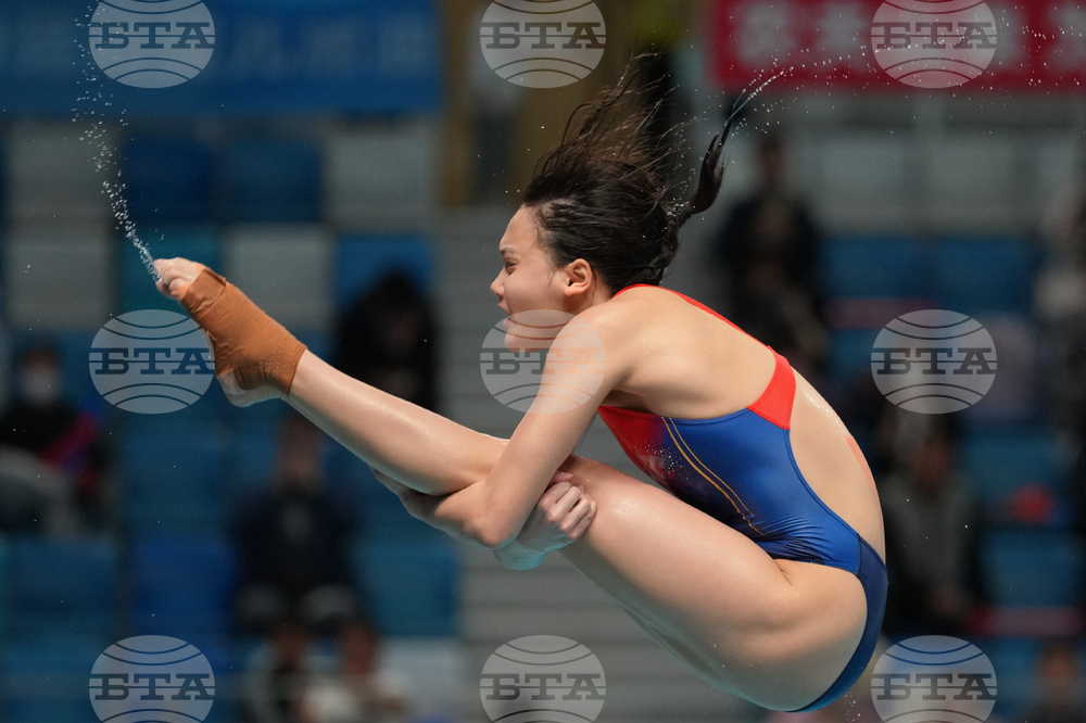 China Diving World Cup