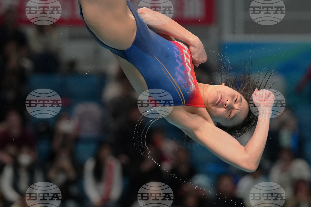 China Diving World Cup