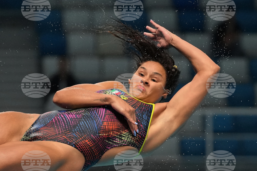 China Diving World Cup