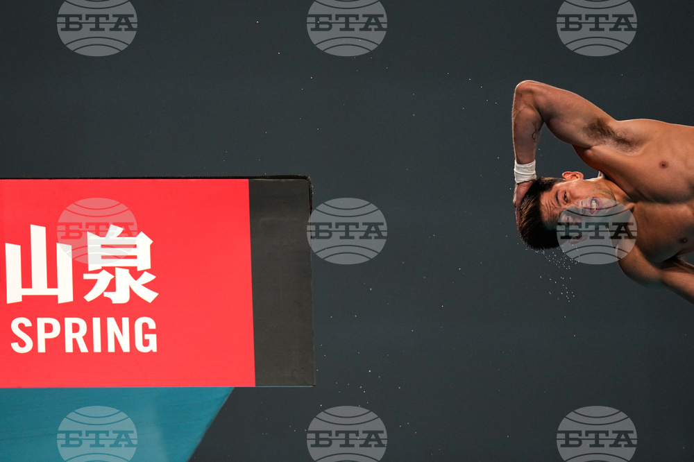 China Diving World Cup