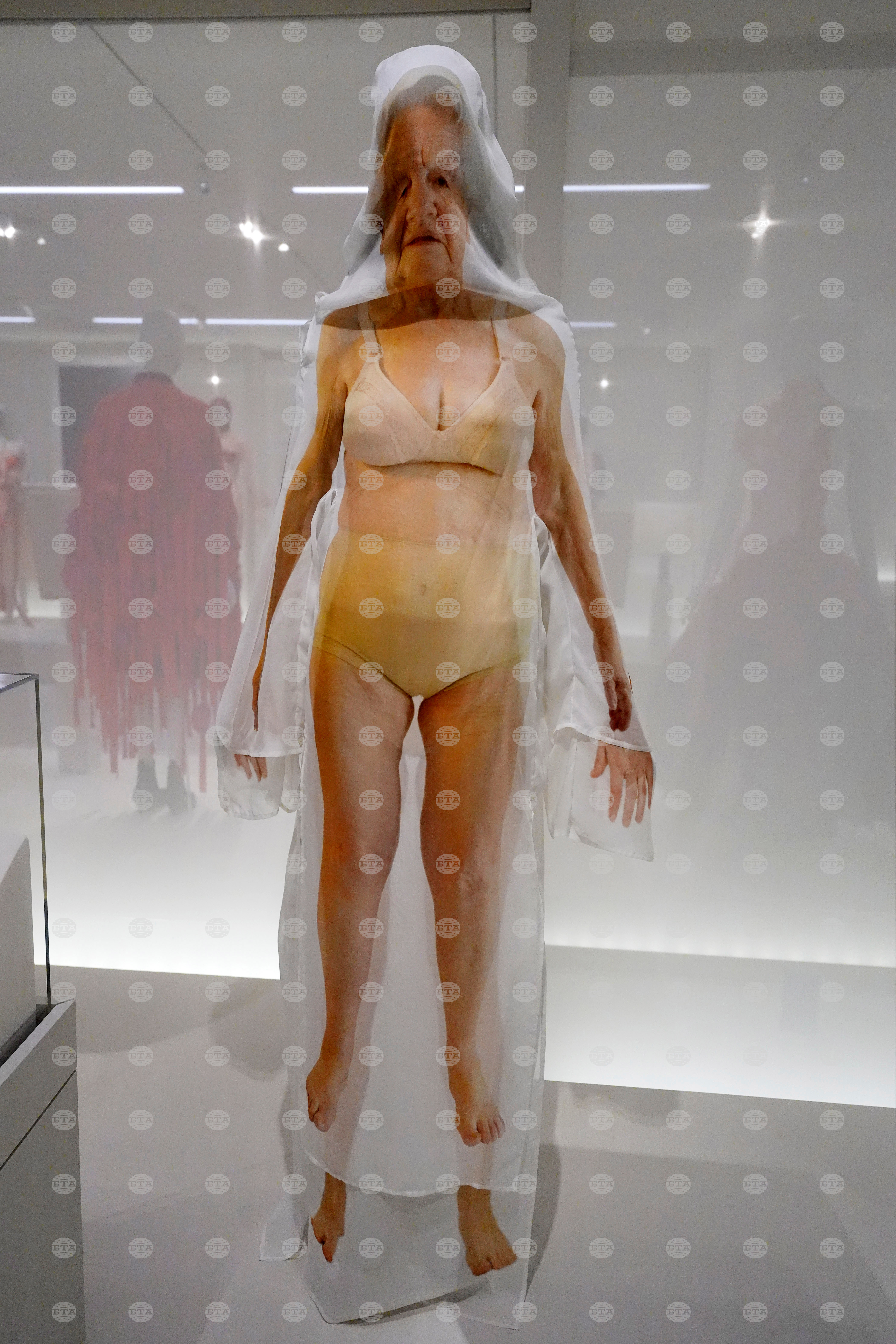Met Gala Exhibit