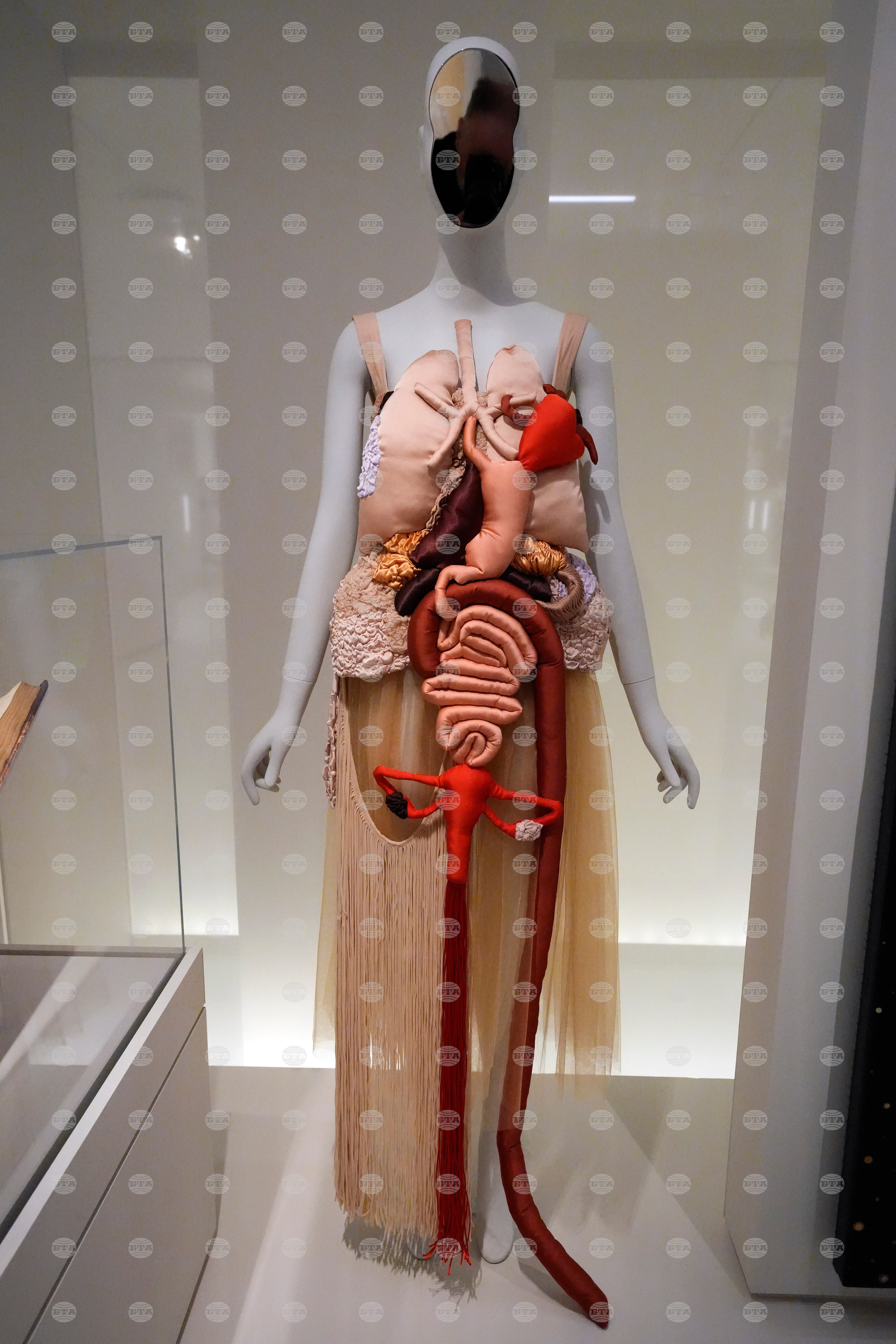 Met Gala Exhibit