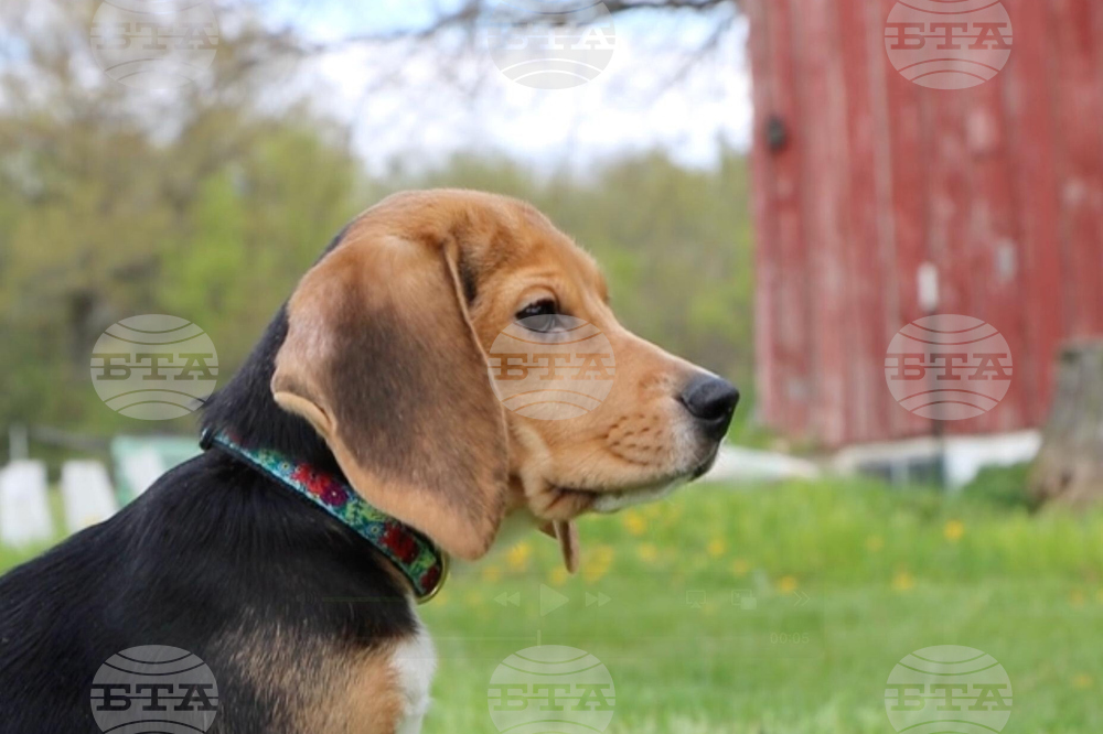 Animal Welfare Protest Wisconsin