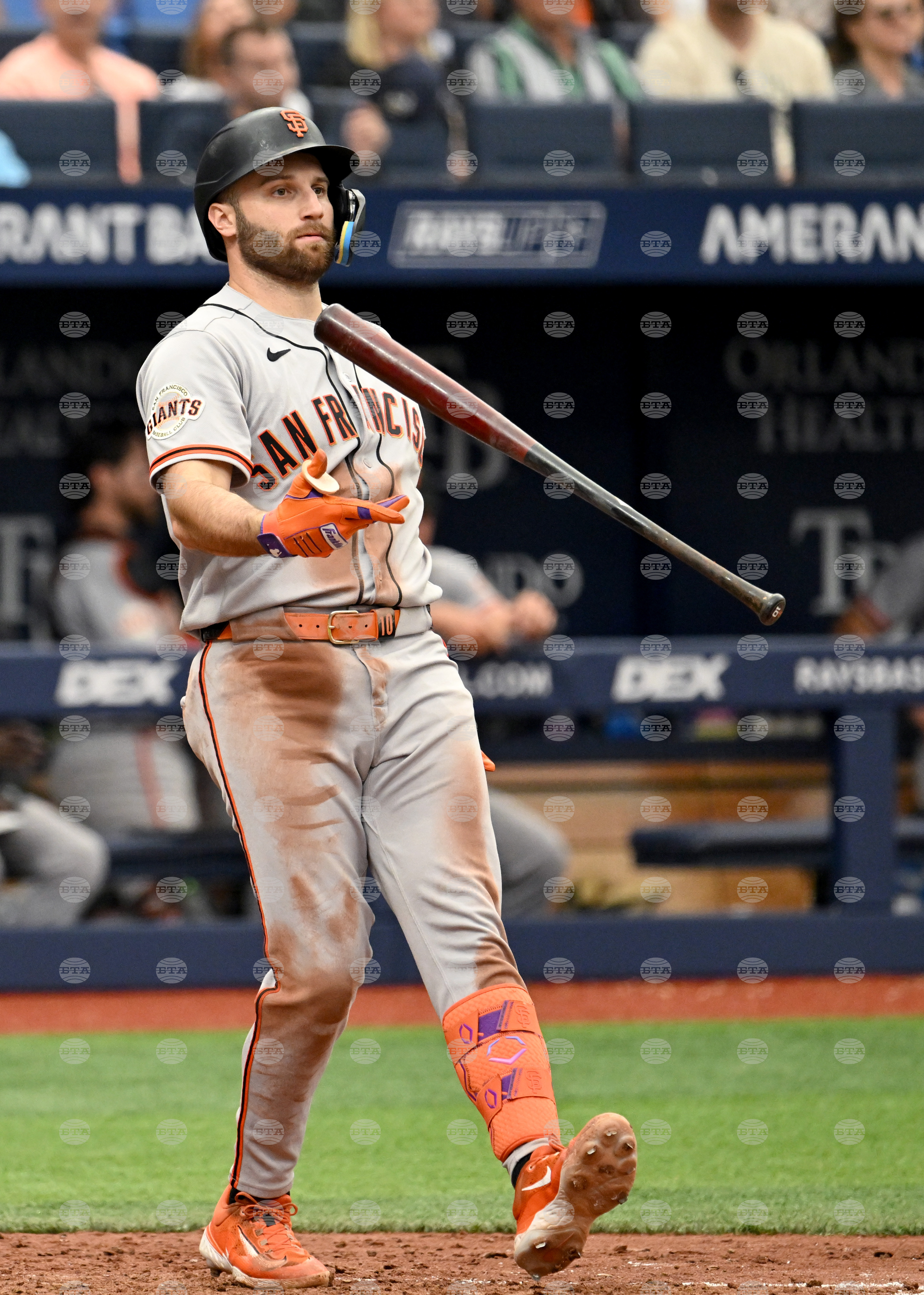 Giants Rays Baseball