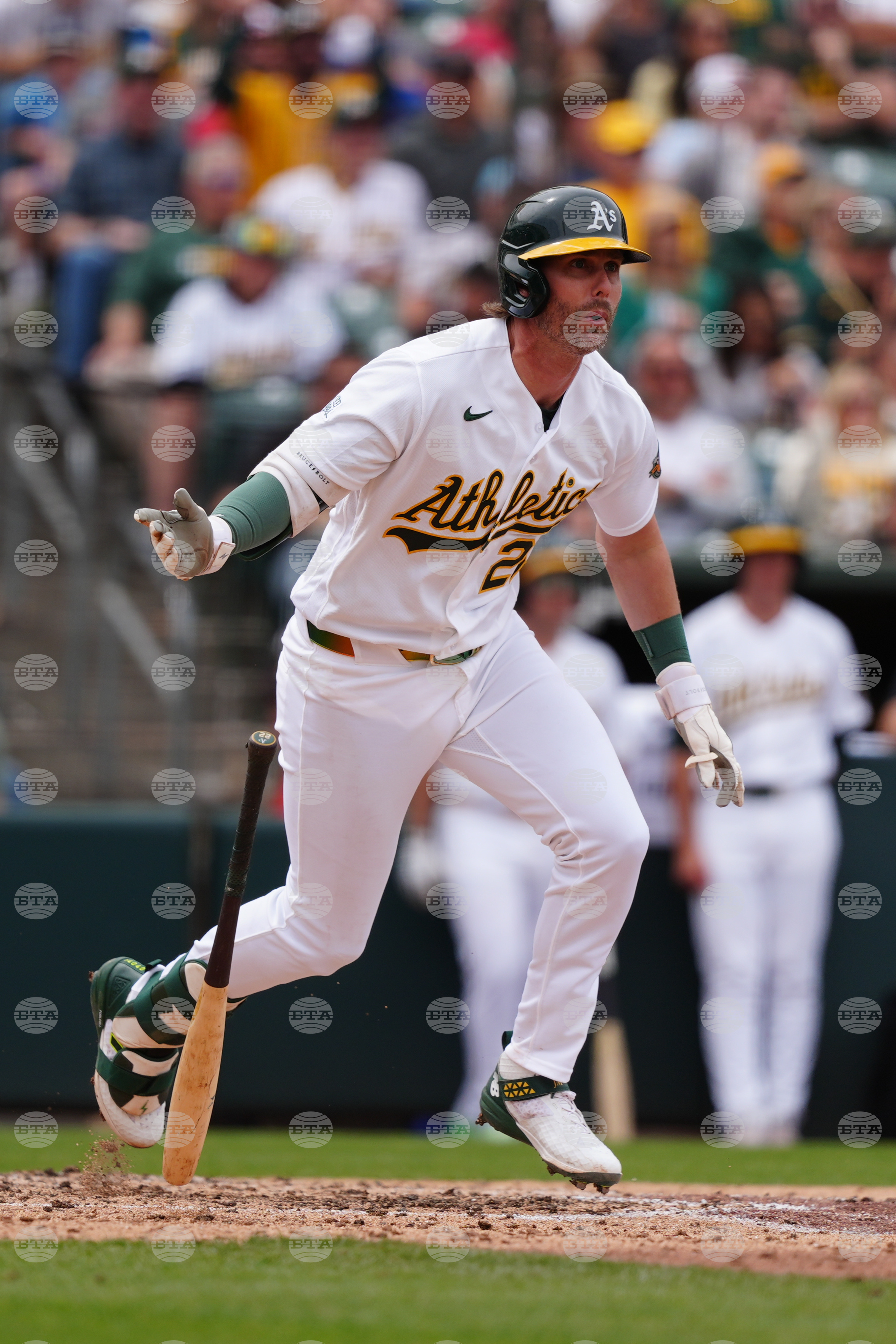 Guardians Athletics Baseball