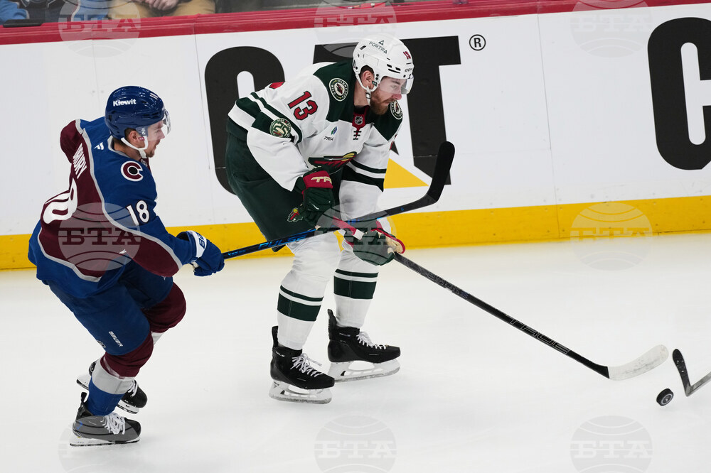 Wild Avalanche Hockey